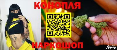 сатива Будённовск