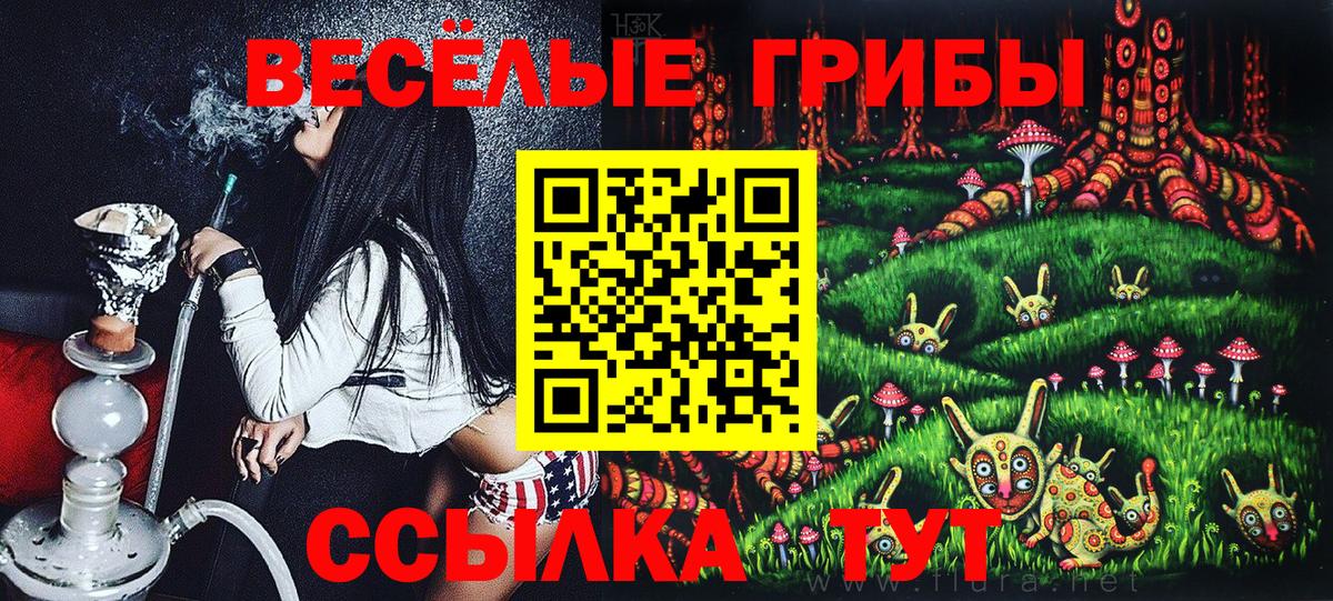 Вышний Волочёк  Псилоцибиновые грибы ЛСД  Вход с VPN 
