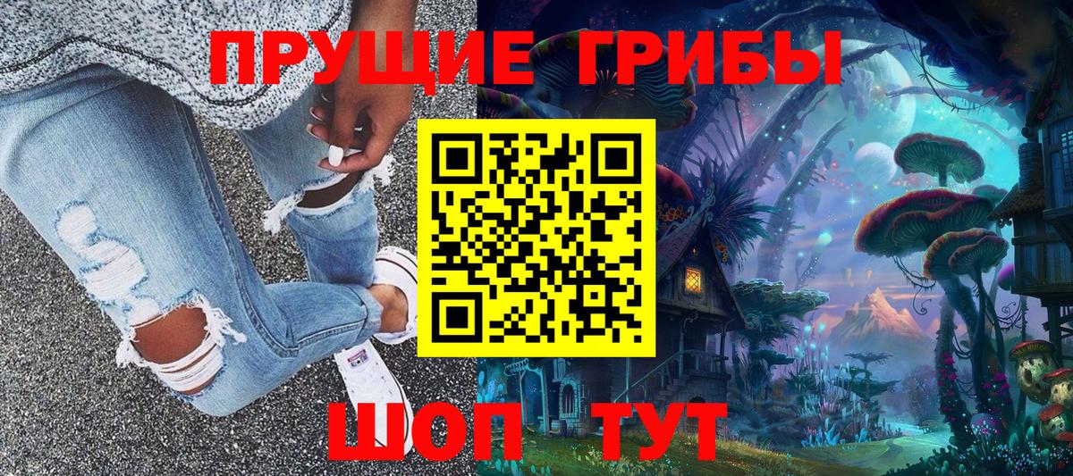 Псилоцибиновые грибы Psilocybe Вышний Волочёк